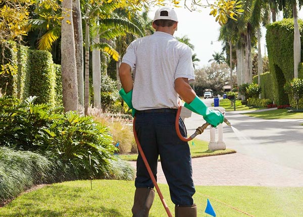 About Closplint KY Pest Control